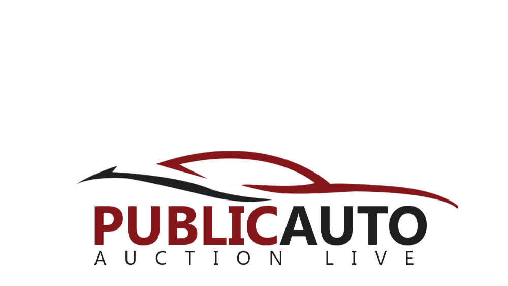 Publicautoauctionlive.com